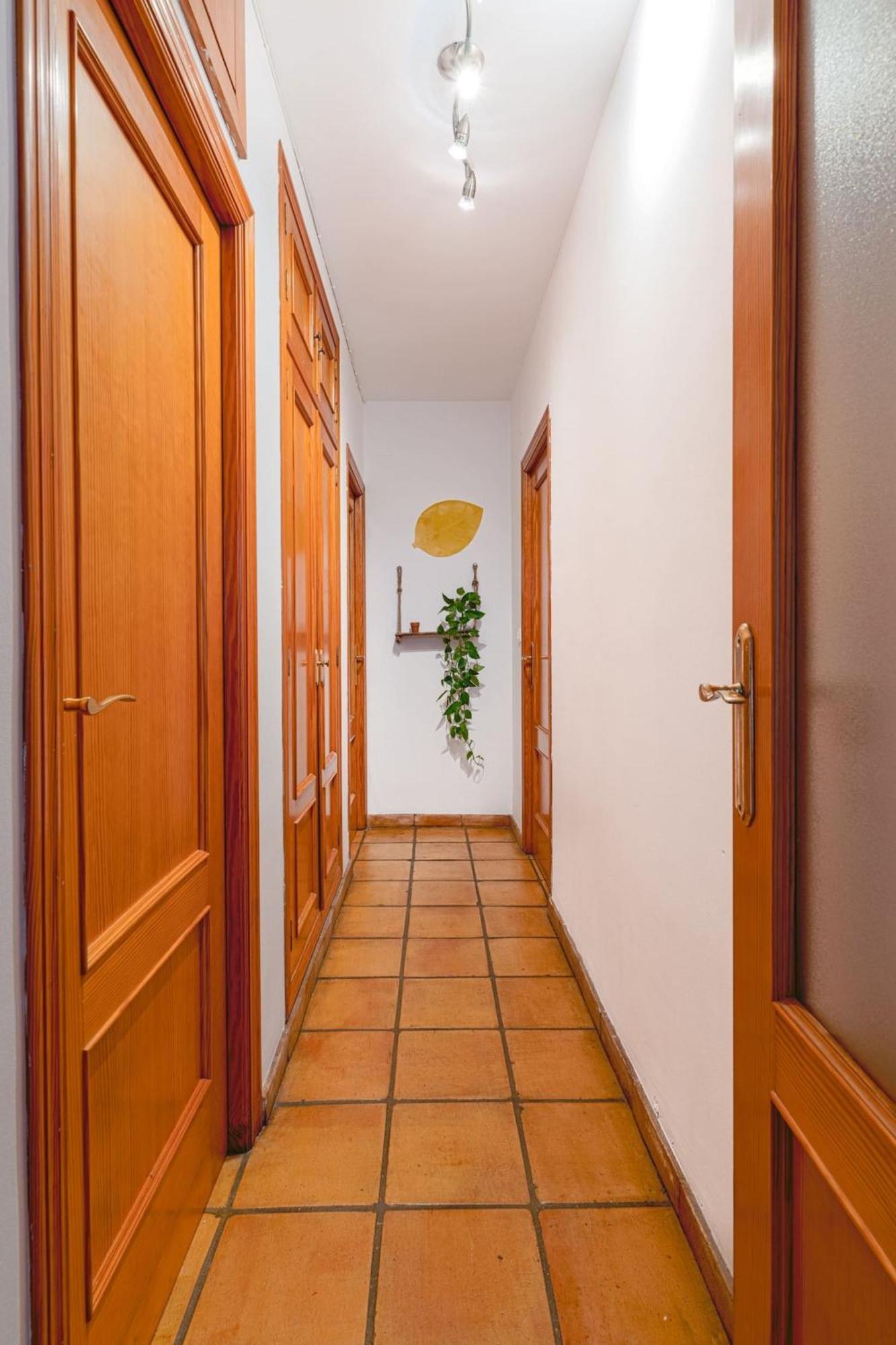 Ferienwohnung Musico Turia Gardens Valencia Exterior foto